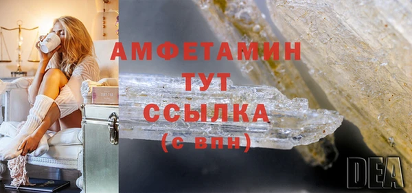 прущие грибы Бежецк