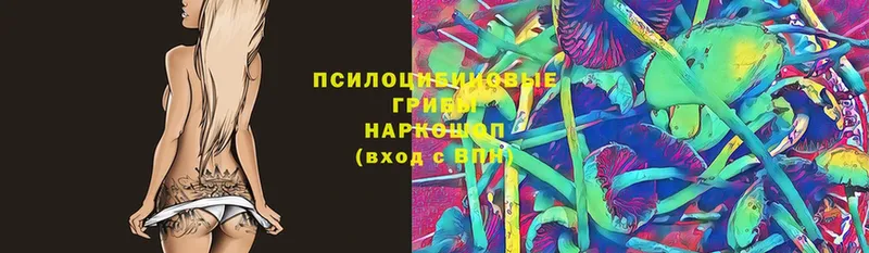 Псилоцибиновые грибы мухоморы  Чишмы 